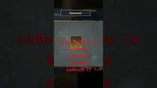 золотой кейс