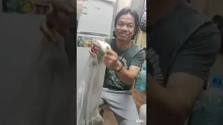 UNBOXING fender SA-150