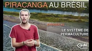 Piracanga 2 - Un système de permaculture exemplaire