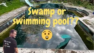 Swamp or swimming pool??
