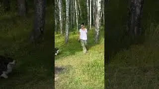 Моя Россия 🇷🇺  гуляем с Шерлоком у пруда и берёзовой рощи