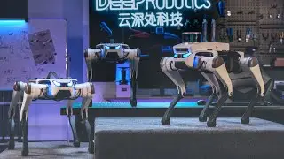 Lite3 : Extraordinary locomotion, Modify with your imagination