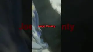 Joeys County
