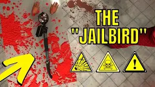 D-Class LIVE Jailbreak in SCP: SL!