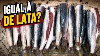 Como Fazer Sardinhas Iguais as de lata. Rica em ômega3 e cálcio, não a deixe fora de sua dieta