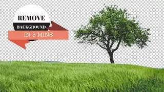 How To Remove Background in photoshop CS6
