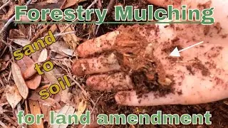 Forestry Mulching and other methods of clearing land | Amazing Seed Bank reveal