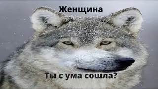 На случай важных переговоров #1.