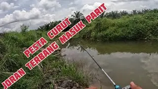 casting haruan// pesta curut estet ulu basir perak