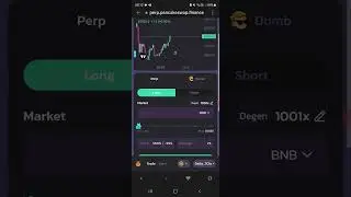 Professional trader 1000x bitcoin leverage trading