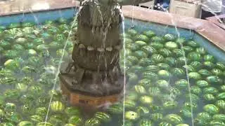 Арбузный фонтан, ГУМ, центр.