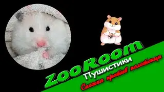 Хомяк Снежка против полотенца
