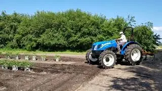 New Holland work-master 60.