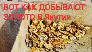 КАК ДОБЫВАЮТ ЗОЛОТО В ЯКУТИИ.