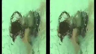 Scuba Diving   水中撮影3