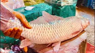 Fresh Grass Carp Fish Skinning and Chopping for Cooking | Alive Fish Cutting Skills In BD Market