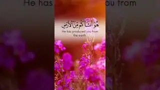 Surah Hud, ayah 61