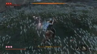 Inner Isshin - Sekiro: Shadows Die Twice