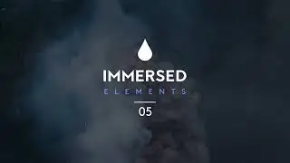 Crimsen - Without You