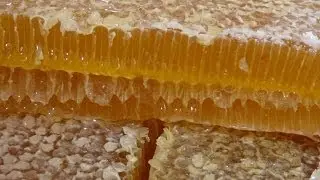 Keeping bees in the attic of a private house