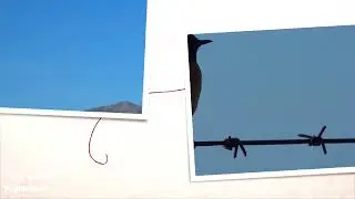 Tarabilla Europea en alambre