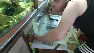 Напортачив При Склеюванні Акваріума / Складання Акваріума в реальному часі
