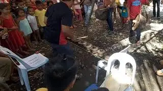 Agung And Kulintang |TribuMaguindanaon