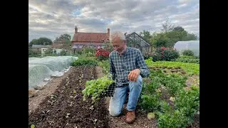 Vegetables for winter and spring harvest, sow and plant in early autumn