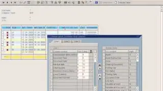 SAP Saving Report Layouts