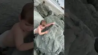 На пляже он был в центре внимания 😂 погода 20 градусов , он снял с себя все и бегал 😅