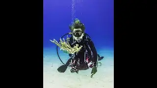 For the Reef Podcast Episode 13  Aaron Hunt    SD 480p