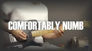 Comfortably Numb | Guitar Cover 🔸 PINK FLOYD
