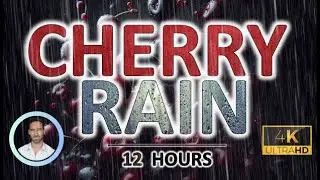 Soothing Dark Cherry Rain Noise | 12 Hours BLACK SCREEN | Study, Sleep, Tinnitus Relief & Focus