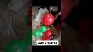 Wishing you all a Merry Christmas! Have a Holly Jolly Christmas 🌲🎁 #christmas #merrychristmas