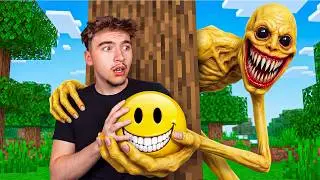 Do Not Install the VERITY Mod in Minecraft...