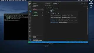 09 Variables And Shadowing (Rust Systems Programming)