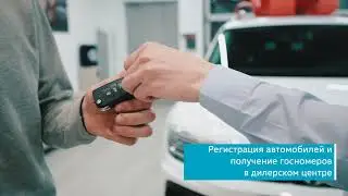 Сергей Мамаев - Ваш персональный мастер-консультант