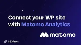 Connect your WordPress site with Matomo Analytics