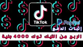 الربح من التيك توك 🔥 4000 جنية مع إثبات الدفع