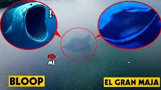 (GONE WRONG) DRONE CATCHES EL GRAN MAJA & THE BLOOP EATING A SHIP IN REAL LIFE! (OMG)