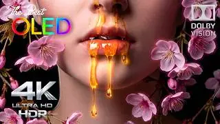 Absolutely The Best OLED HDR Test Ever | 4K HDR 120fps Dolby Vision (8K TV)