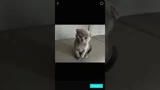 как наложить фото на фото в кап кат #капкут
