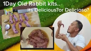 Delicious Rabbit kits Recipes