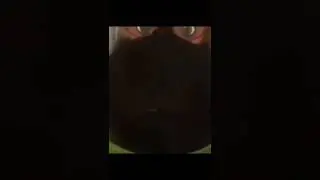 чёрные приезжайте в России вас здесь любят 
