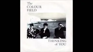 The Colour Field -Thinking of You