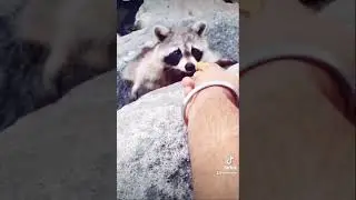 Man I think he’s Hungry