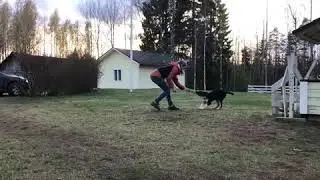 Having a bit of fun with Roy