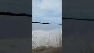 "Fin de la guerra"... Toda una travesía el regreso a casa...