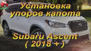 Установка упоров / амортизаторов капота на Subaru Ascent от upora.net