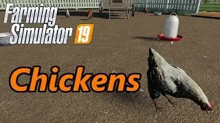 Farming Simulator 19 Tutorial | Chickens